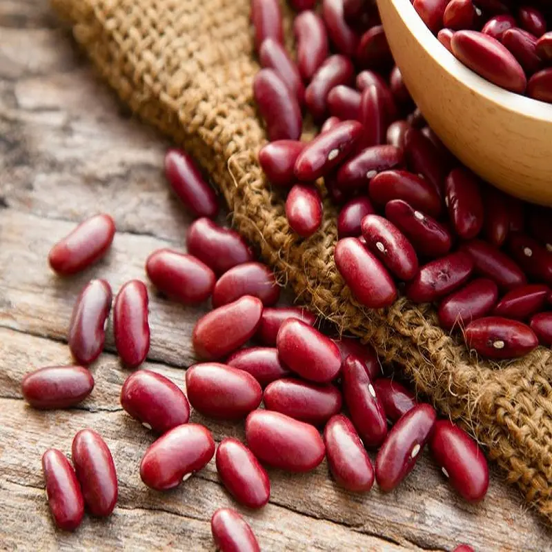 Good Quality Red bamboo beans for sale