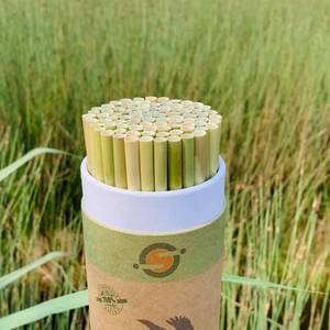 Hot sales ENVIRONMENTALLY FRIENDLY <b>DRINKING</b> <b>STRAWS</b> GREEN AND DRIED - Product Image 3