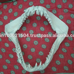 วัวกระทิงโลหะในรายการที่ไม่ซ้ำกัน - Product Image 2