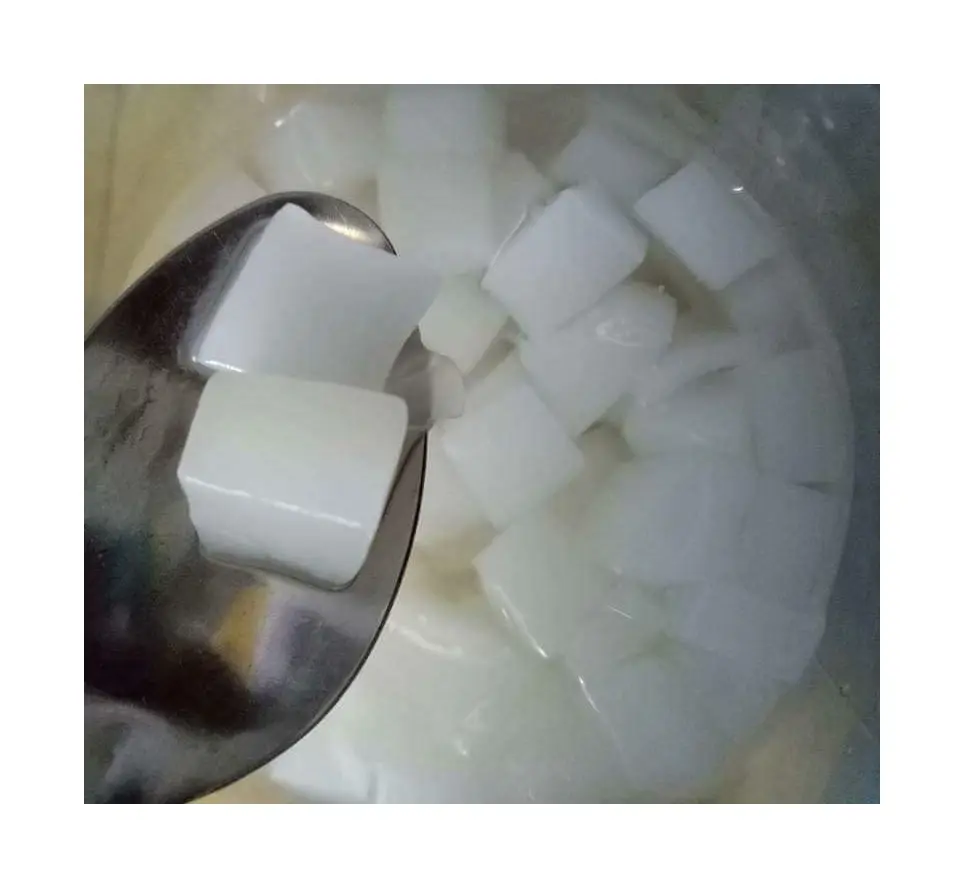 2020 Beste Kwaliteit Kokosnoot Jelly - Nata De Coco In Lichte Siroop-Heerlijke Crème Van Kokosnoot Gemaakt In Vietnam/ Ms Jennie