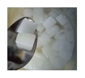 2020最优质的椰子果冻-淡糖浆中的Nata De Coco-越南制造的美味椰子奶油/珍妮女士