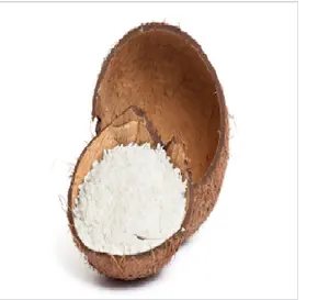 Latte di cocco nutriente in polvere prezzo del latte di cocco in polvere latte di cocco VIETNAM 2023