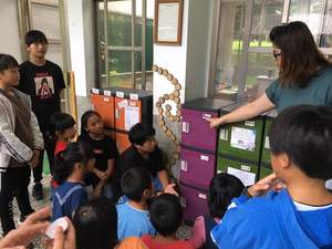 El Mejor Armario de Plástico Reciclado Ecológico Moderno para Guarderías y Escuelas Primarias - Product Image 2