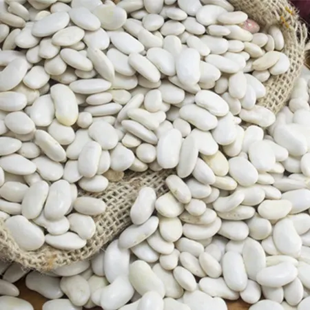 Turkish Light Speckled Kidney Beans Market Price