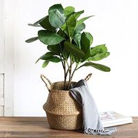 Panier en jonc de mer naturel/coloré, écologique et durable, pour le rangement du linge, les plantes et la décoration (multifonctionnel)