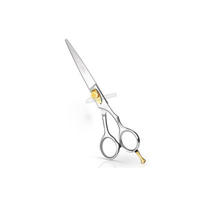 Tijeras Profesionales para Cortar Cabello con Tornillo de Tensión Ajustable y Reposamanos Desmontable Plateadas para Barbería - Product Image 1