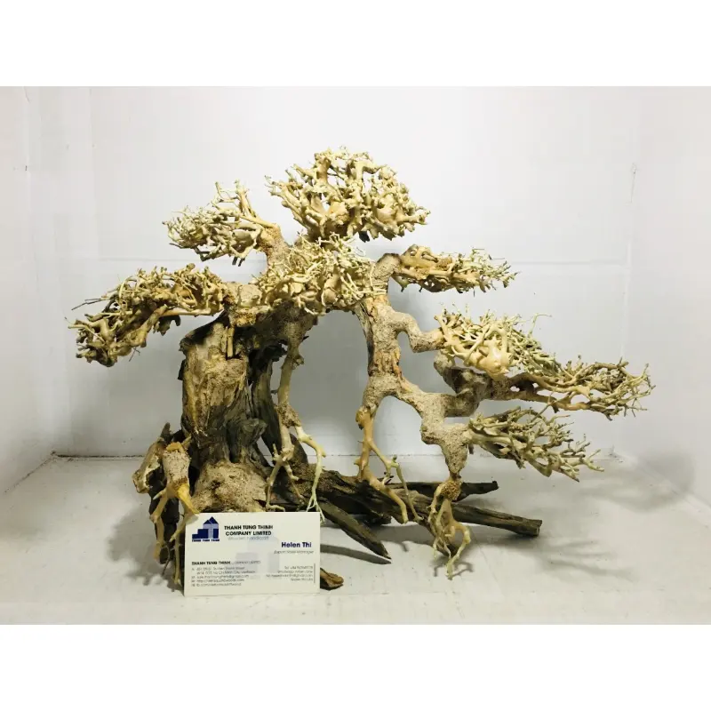 HOT itens Bonsai driftwood aquário peixes decoração casa whatsapp: + 84 961005832