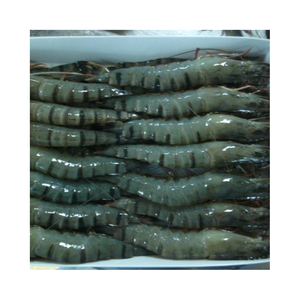 Gambas de tigre negro, gambas negras a granel - Product Image 1