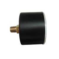 Pro Instrument 10kPa Diaphragm PRESSURE GAUGE for GAS