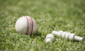 ลูกบอลคริกเก็ตหนังสำหรับผู้หญิงน้ำหนัก147กรัม - Product Image 5