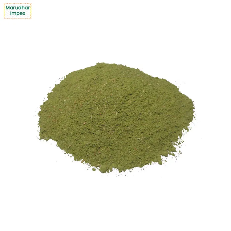 Extrait de feuilles de zhiphus 100% Pure et organique, produit d'origine, fourniture d'usine