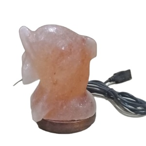 Lámpara USB de sal rosa del Himalaya hecha a mano de Pakistán, artesanías naturales con peces tallados, animales, estilos florales - Product Image 1