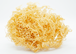 100% WILDCRAFTED SEA <b>MOSS</b>/ IRISH <b>MOSS</b> FROM VIETNAM WITH BEST QUALITY/ Ms. Lily - Product Image 6