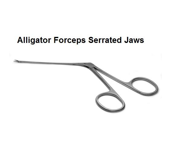 Babcock Tissue Forceps With Ratchet Lock - 6.25" Stainless Steel Surgical Instrument