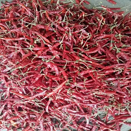 थोक ताजा मिर्च-Habanero काली मिर्च-100% प्राकृतिक ताजा लाल मिर्च