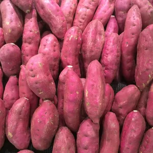 sweet potato