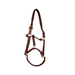 Harnais en cuir pour chevaux avec design tressé, fabriqué par des fournisseurs équestres professionnels, OEM - Product Image 2