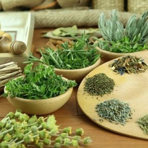 ผง Eleusine Indica จากเวียดนาม - Product Image 1