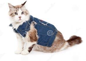 Manteau imprimé, tenue de famille, vêtements pour femmes, col rond, tête de chien ou de compagnie - Product Image 2