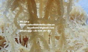 Mousse de mer/Mousse irlandaise/Eucheuma Cottonii du Vietnam Mme Lily + 84 906927736 - Product Image 4