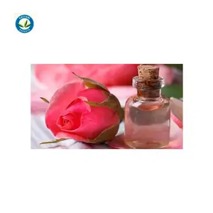 Meilleures ventes Huile essentielle de rose naturelle pure de la plus haute qualité pour les fournisseurs de vente entière