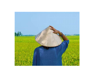 หมวกจากไม้ไผ่แท้,หมวกฟางทรงกรวยสำหรับเกษตรกรหมวกบังแดดราคาส่ง - Product Image 4