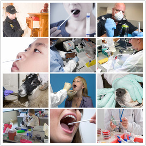 Tek kullanımlık CM-FS916 DNA naylon <span class=keywords><strong>fiber</strong></span> floklu bukkal çubukla - Product Image 4