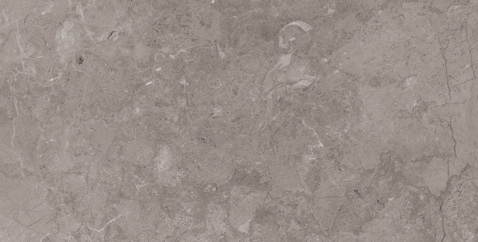 สีเทาอ่อน