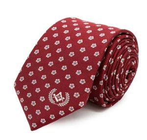 Célèbre marque logo impression cravate maçonnique cravate polyester maçonnique regalia liens - Product Image 3