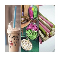 HOT VIETNAMIEN 2024!!! Nouveau matériau pailles comestibles riz biodégradable Tapioca paille