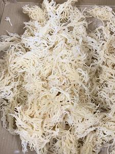 Vietnam Supplier Irish <b>Sea</b> <b>Moss</b> Eucheuma Cottonii Seaweed/ Dried Unsalted Brown <b>Sea</b> <b>Moss</b> Vietnam - Product Image 6