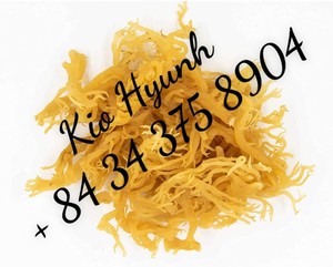 Musgo de mar, producto de allthy de Vietnam/Ms KIO HUYNH + 84 375 de 8904 - Product Image 4