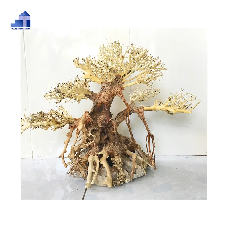 Decoración de acuario con bonsái, madera a precio bajo, WhatsApp + 84 963949178