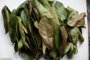 Sans produits chimiques Secs Corossol Feuilles-Helen TP + 84 374 288 086 - Product Image 2