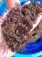 5KG Coco Peat Blok Premium Kweekmedium 30cm X 30cm X 12cm pH 5.5-6.8 voor Landbouw Tuinbouw Arava Merk Sri Lanka
