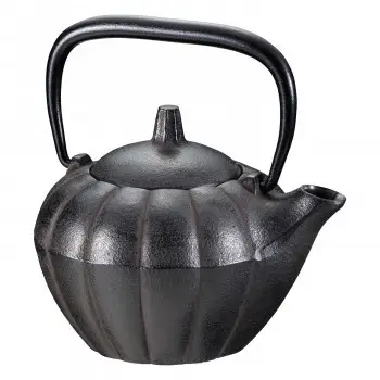 Hoozuki iron kettle made in Japan green tea ceremony coffee pot Japanese traditional cast iron