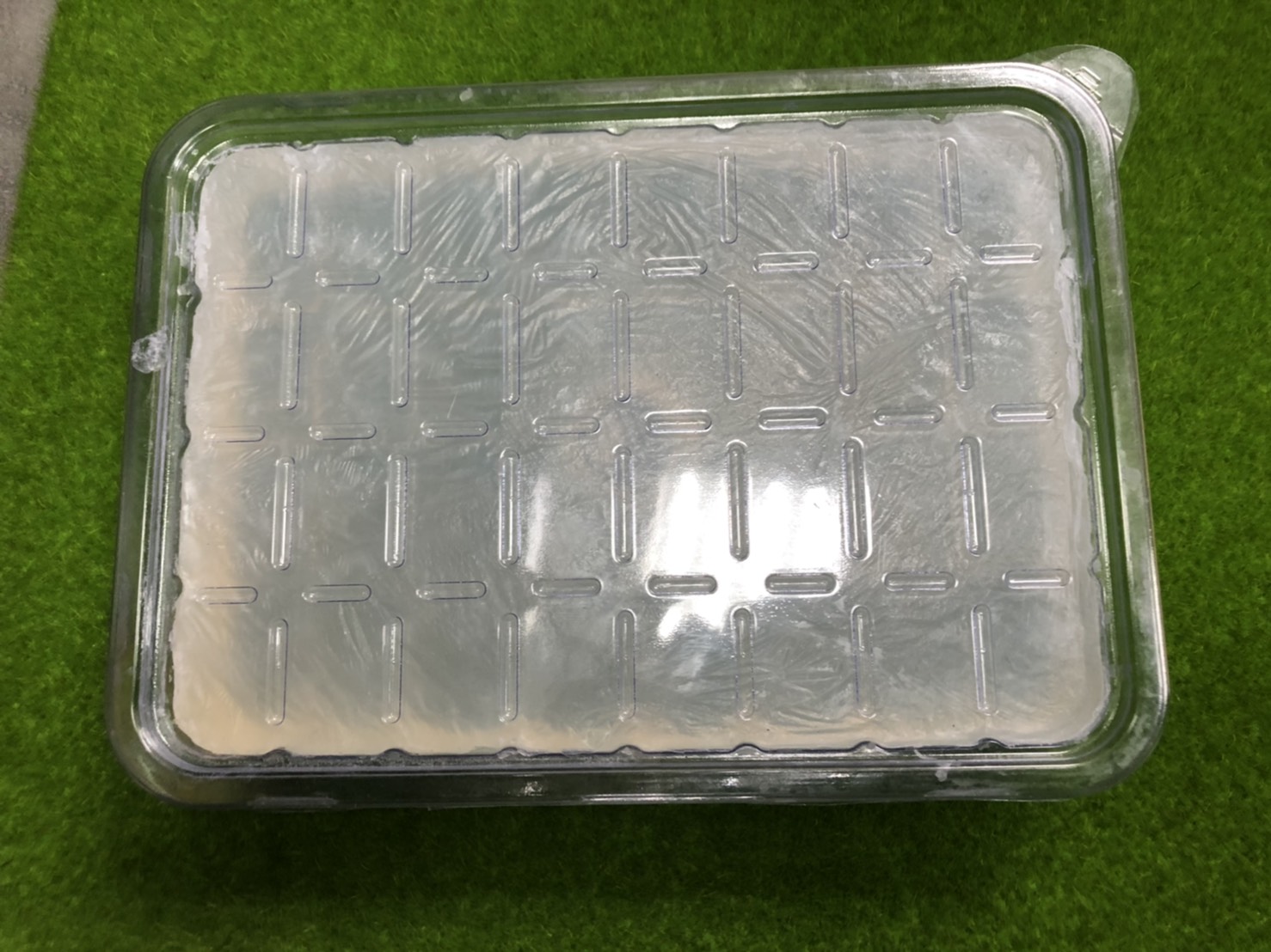 aloe vera soap sphere