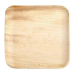 Offre Spéciale de haute qualité bio Areca feuille de palmier Design classique assiettes jetables I & JLLC marque pour les mariages fêtes et camping - Product Image 5