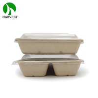 Assiette carrée jetable en bagasse de canne à sucre et bambou non blanchi, technique givrée, écologique, pour camping, 9x9 8x8
