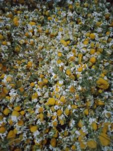 Fleurs de camomille séchées pures et crues de haute qualité, épices et herbes simples - Product Image 2