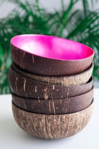 Eco2go Vietnam Eco-Friendly Handmade Polished Natural Coconut Bowl | 100% Natural Organic Biodegradable <b>Camping</b> Bowl - Product Image 4