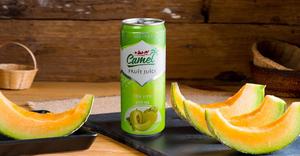 Directo de fábrica 330ml Alu Can Coco Piña Sabor Refresco Concentrado de fruta natural a base de agua Certificado Halal - Product Image 6