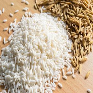 Riz blanc à grain court Japonica Calrose Koshihikari, séché, texture douce, IRRI pour usage alimentaire - Product Image 2