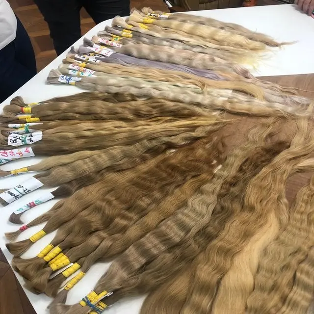 Exclusive Stock of Genuine Royal Quality Russian Virgin Blond Bulk Hair