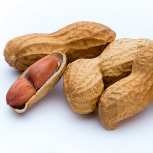 Huile végétale d'arachide de qualité supérieure d'AARNAV GLOBAL EXPORTS - Product Image 1