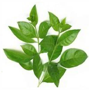 Colorant vert semi-permanent certifié Ecocert à base de plantes triple raffinées, rose brun, poudre de henné non allergique du fabricant - Product Image 4