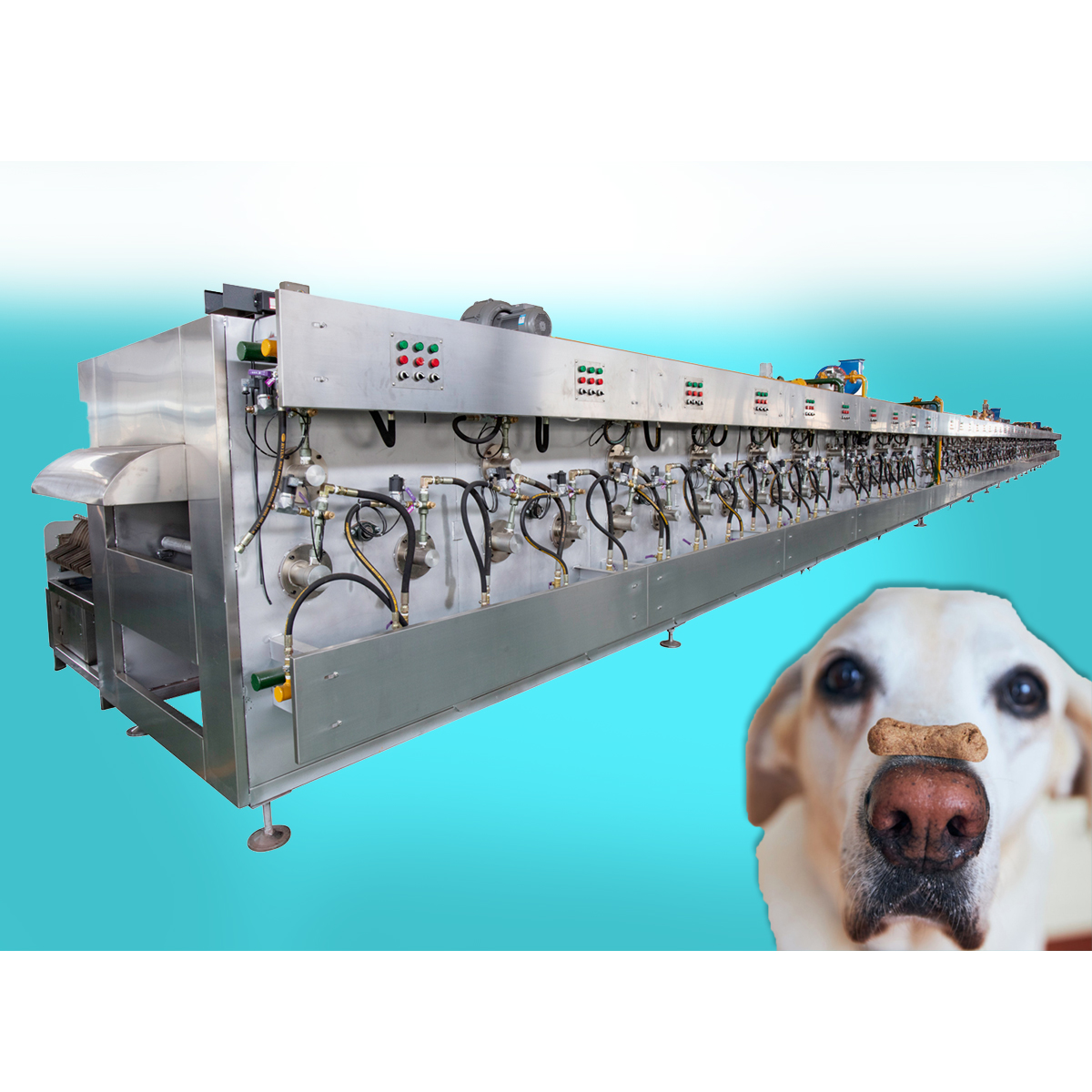 small capacity biscuits ligne de production production equipment production facility making machine baking oven