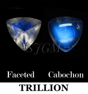 " 11mm Trillion Natural Rainbow Moonstone " Wholesale Factory Price High Quality Loose Gemstone | NATURAL RAINBOW MOONSTONE | - Product Image 4
