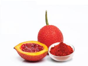 À vendre Pure Gac Fruit Powder/Poudre Gac de haute qualité du Vietnam/ Shyn Tran - Product Image 2