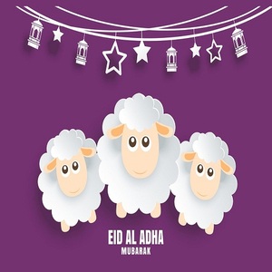 BARBECUE à charbon de bois dur, 2 KG/4 KG, en relief, petit emballage papier, d'origine israélienne - Product Image 3